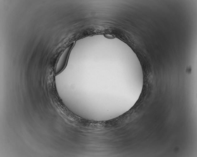 X0000116270914200912211754