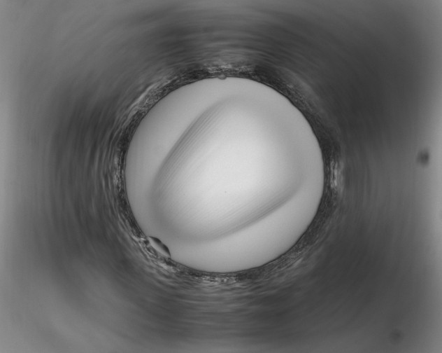 X0000116270915200912211754