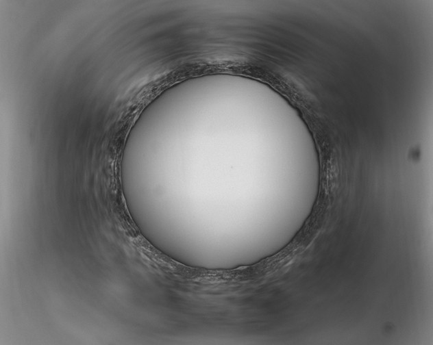 X0000116270917200912211754
