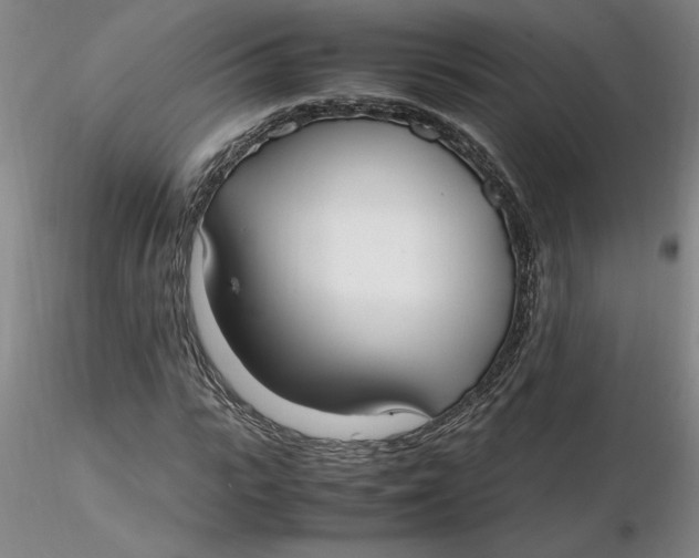 X0000116270919200912211754