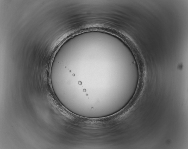 X0000116270921200912211755