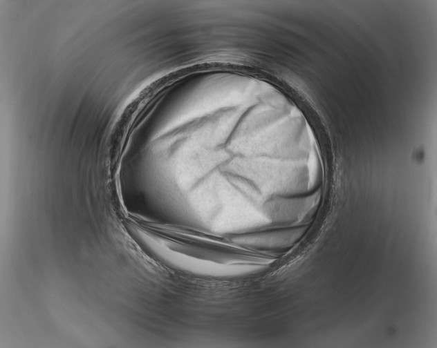 X0000116270923200912211755