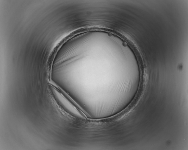 X0000116270925200912211755