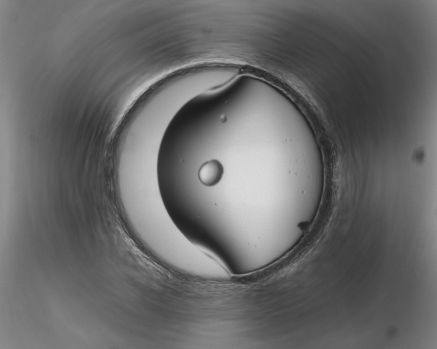 X0000116270926200912211755