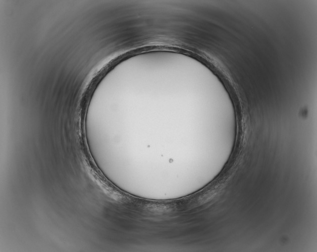 X0000116270931200912211755