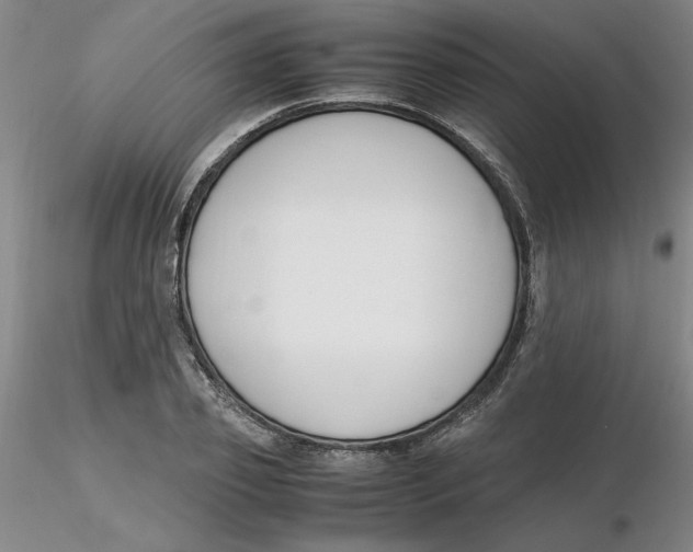 X0000116270933200912211755