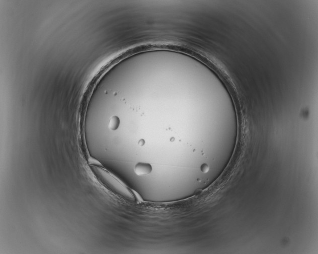 X0000116270935200912211755