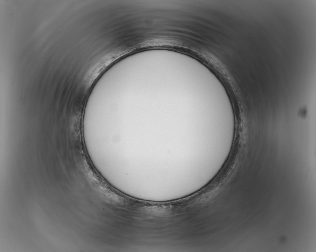 X0000116270937200912211755