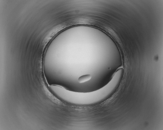 X0000116270938200912211755