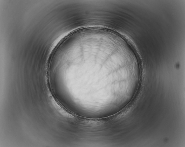 X0000116270941200912211755
