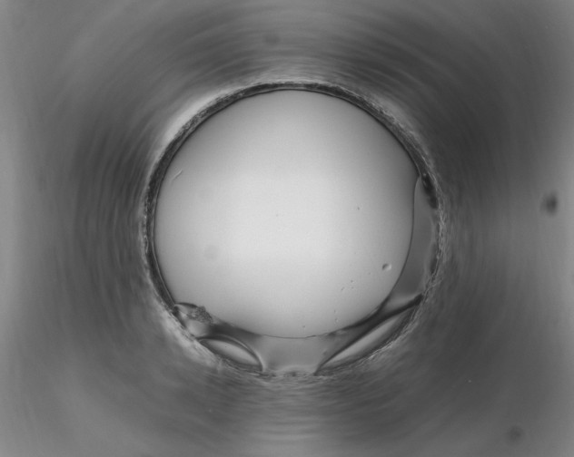 X0000116270942200912211755