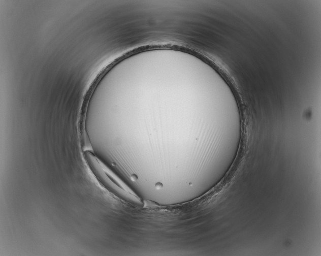 X0000116270943200912211755