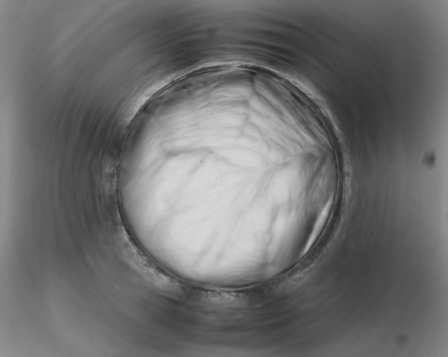 X0000116270945200912211755