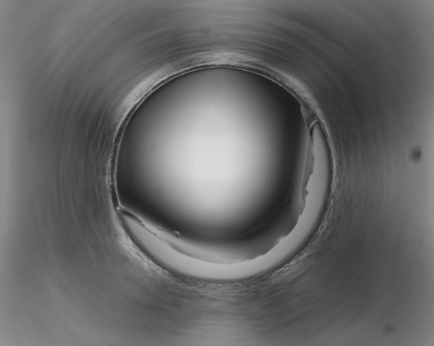 X0000116270946200912211755