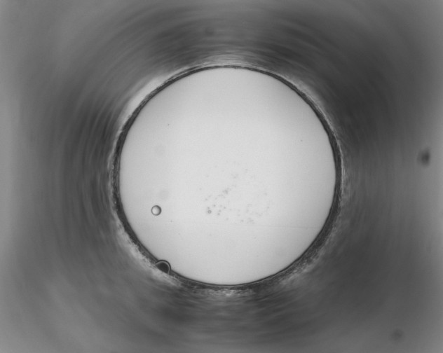X0000116270949200912211755