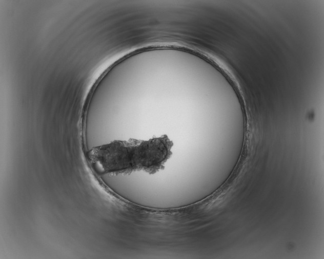 X0000116270951200912211755