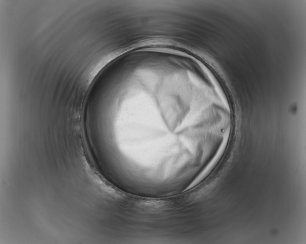 X0000116270953200912211755