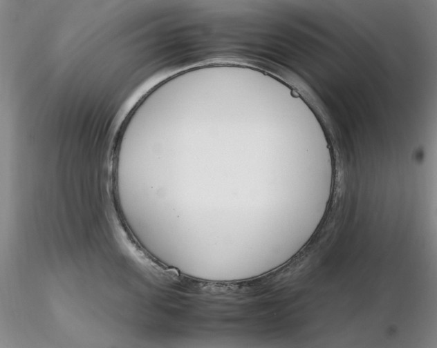X0000116270955200912211755