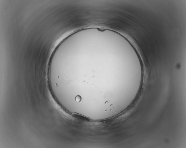 X0000116270957200912211755