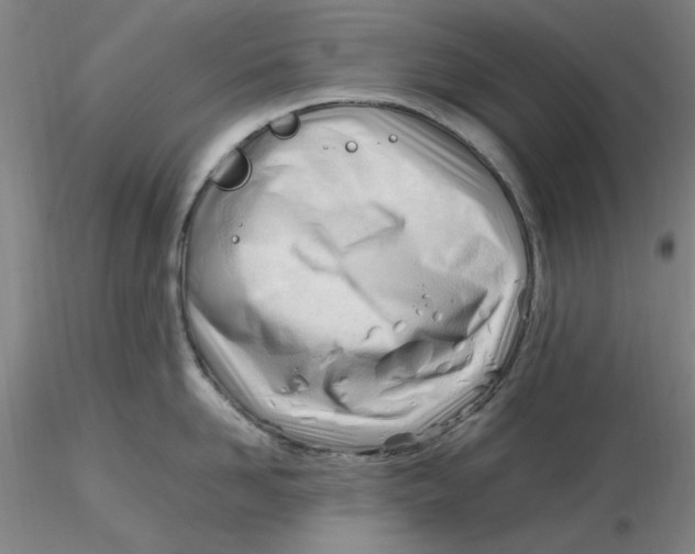 X0000116270958200912211755