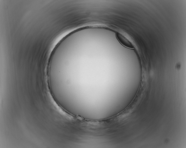 X0000116270959200912211755