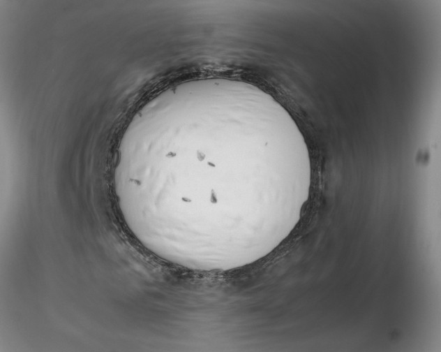 X0000116270961200912211754
