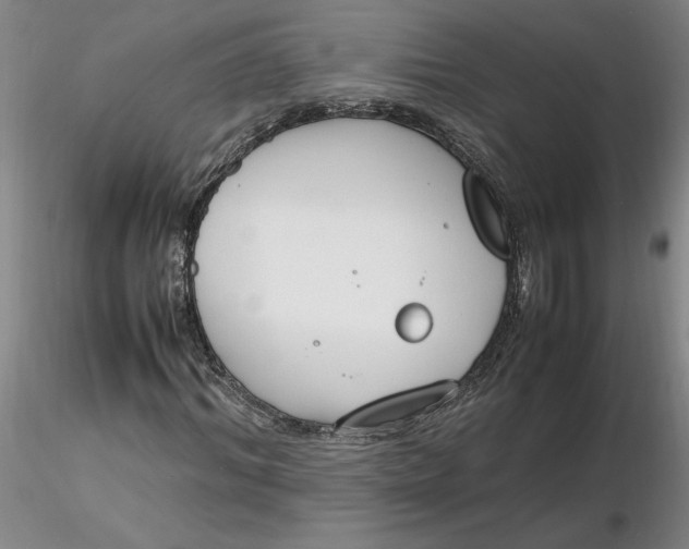 X0000116270964200912211754
