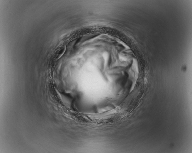 X0000116270965200912211754