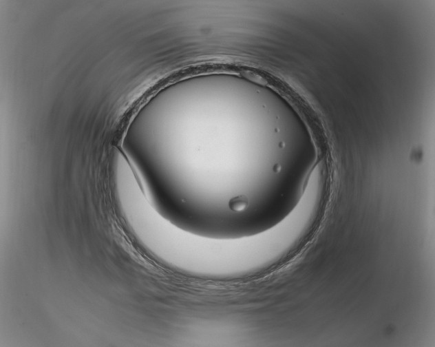 X0000116270969200912211754