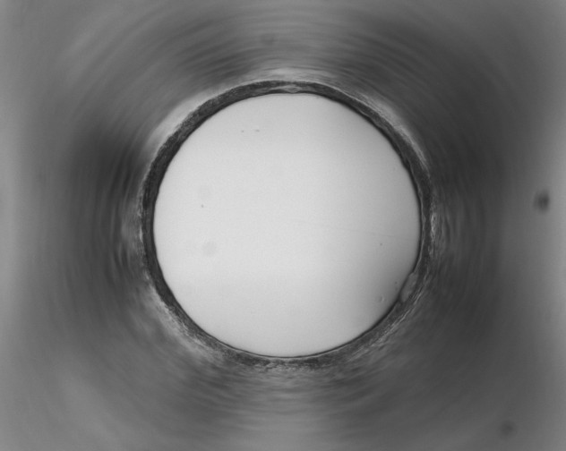 X0000116270972200912211754