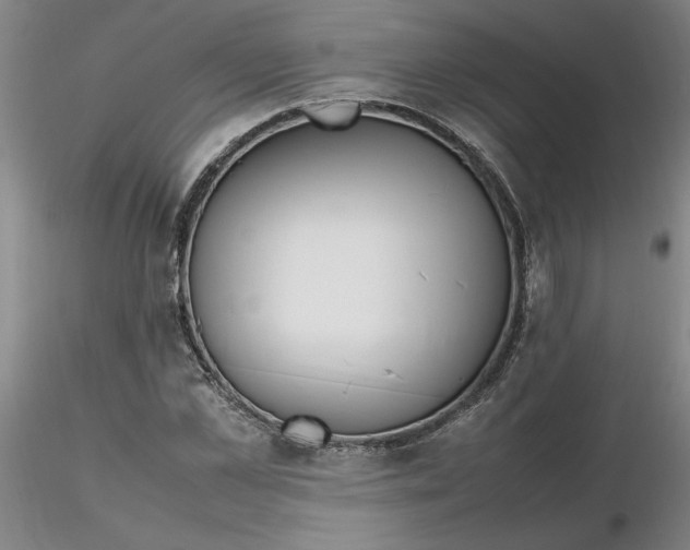 X0000116270973200912211754