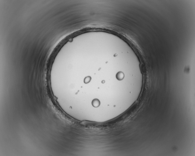 X0000116270976200912211754