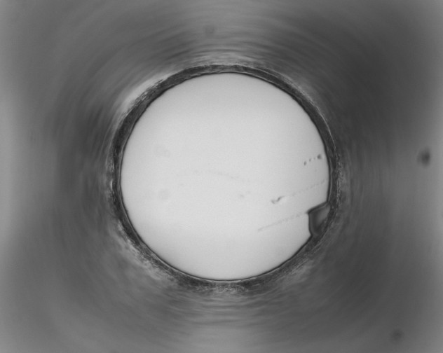 X0000116270979200912211754