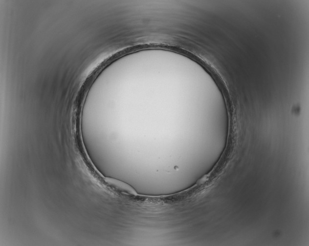 X0000116270983200912211754
