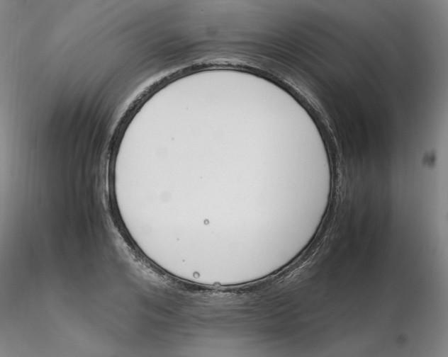 X0000116270984200912211754