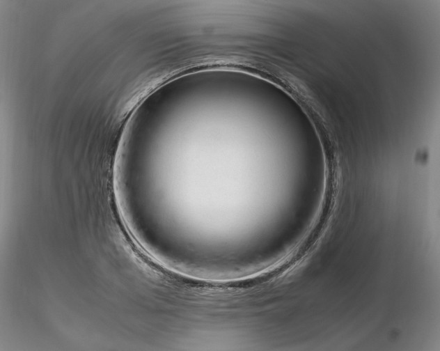 X0000116270985200912211754