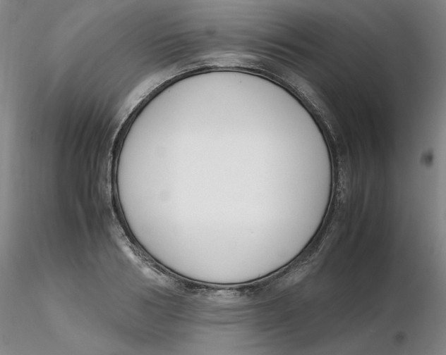X0000116270986200912211754