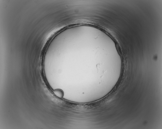 X0000116270987200912211754