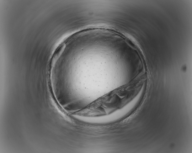 X0000116270989200912211754