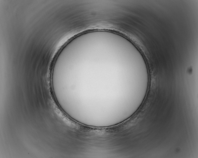 X0000116270990200912211754