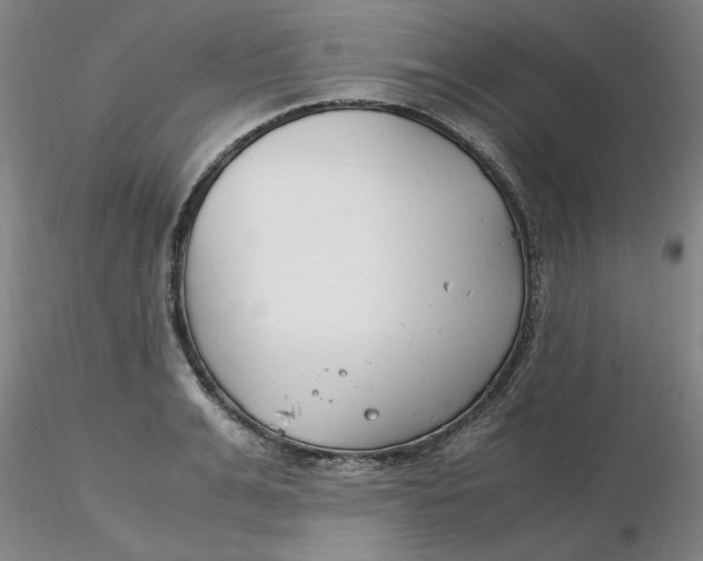 X0000116270991200912211754