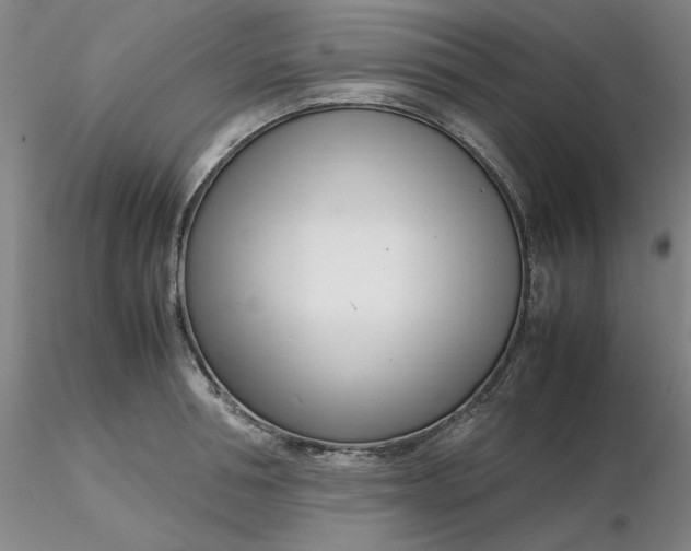 X0000116270994200912211754