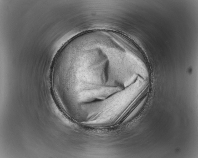 X0000116270995200912211754