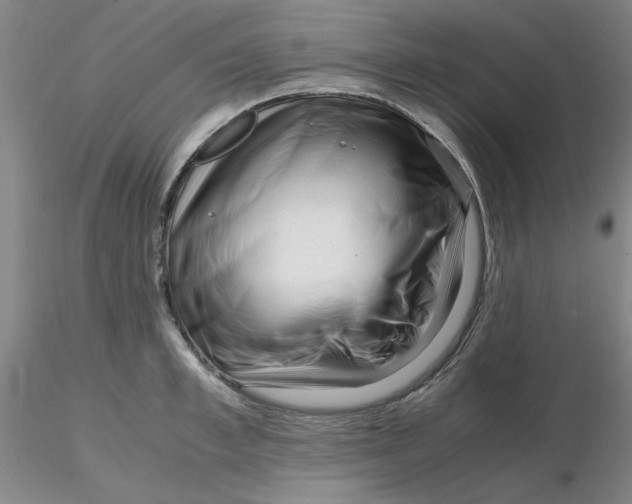 X0000116270997200912211754