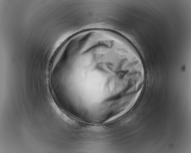 X0000116270998200912211754