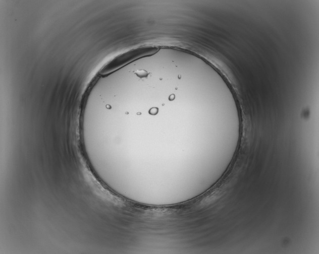 X0000116271000200912211754
