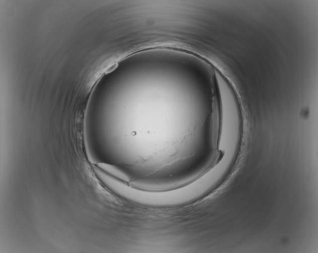 X0000116271001200912211754