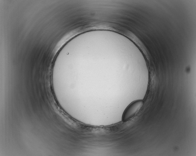 X0000116271002200912211754