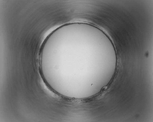X0000116271003200912211754