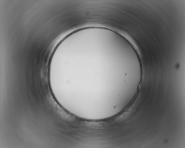 X0000116271004200912211754
